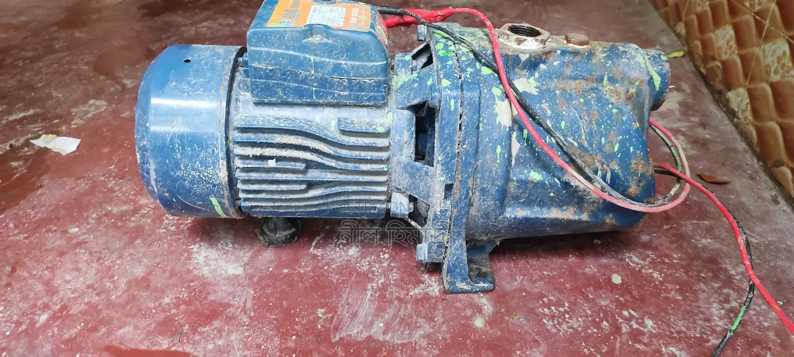Fresh Motor for Sale