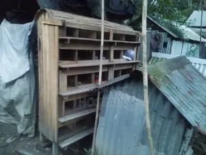 Pigeon Loft 25 Holes