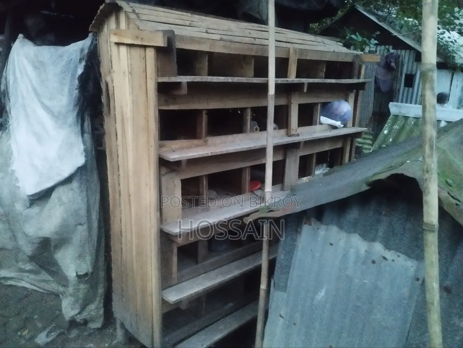 Pigeon Loft 25 Holes
