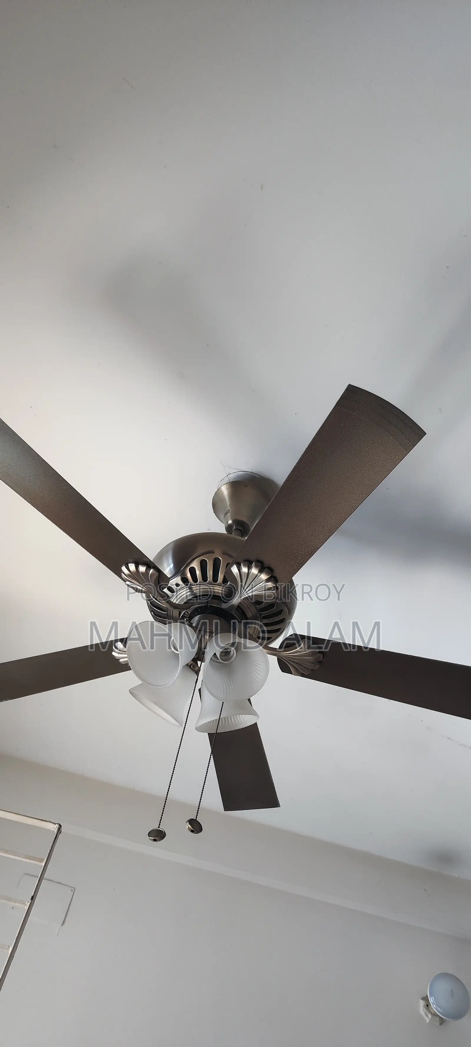 Ceiling Fan
