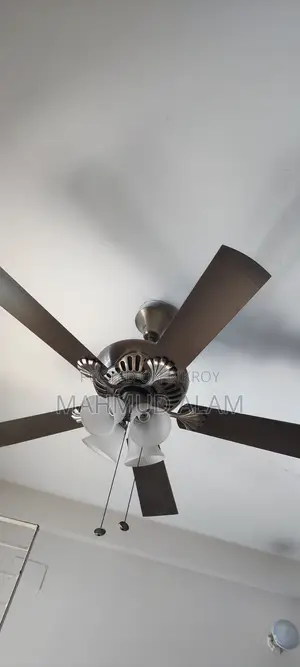 Ceiling Fan