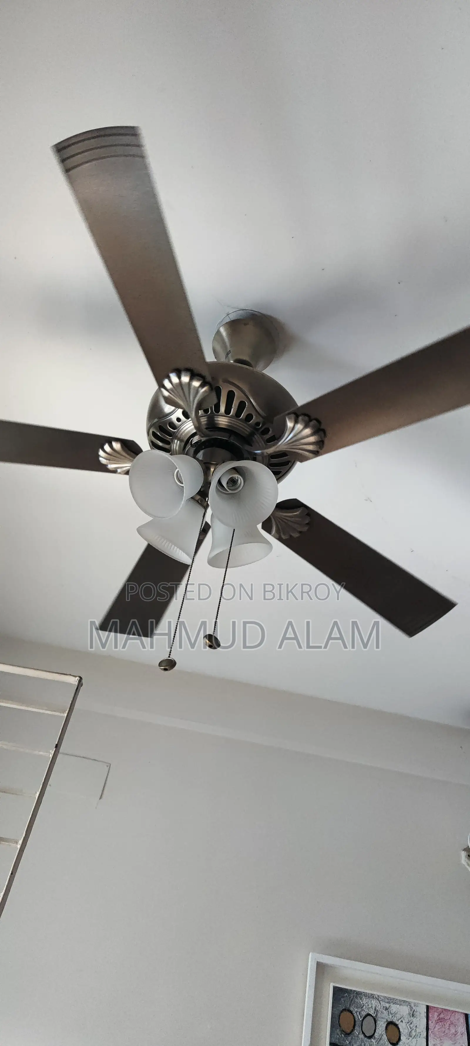 Ceiling Fan