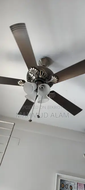 Ceiling Fan