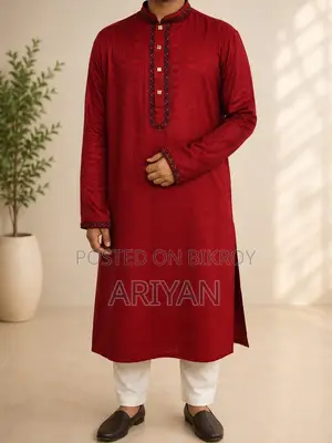 Grab this Stylish Panjabi