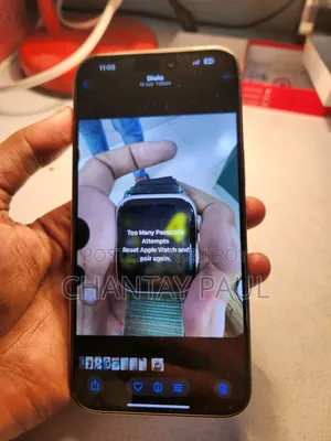 Apple iPhone 15 Pro Max 256 GB