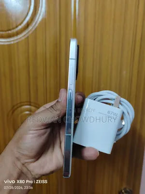 শাওমি ১৩ ২৫৬ জিবি ধূসর