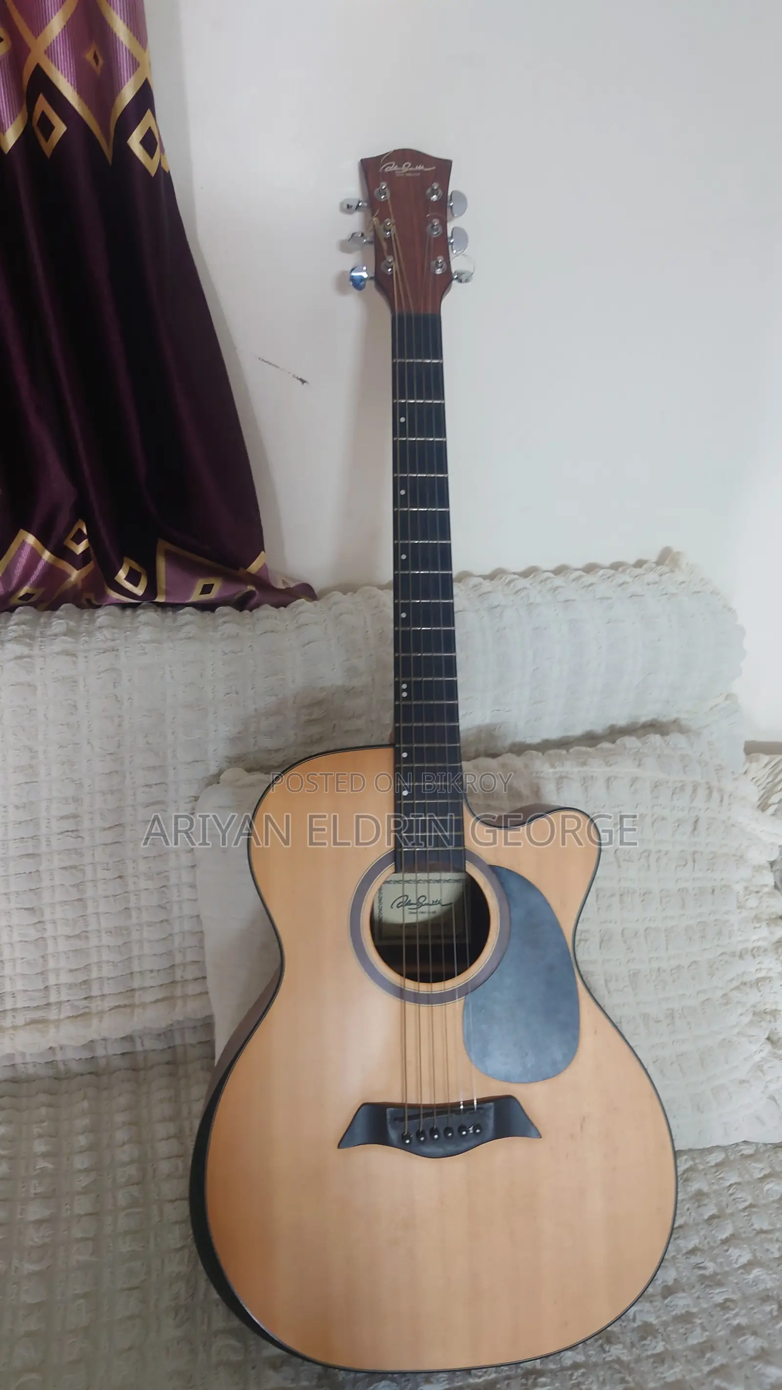 অ্যাডাম স্মিথ ৫৭০ গিটার
