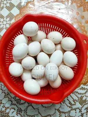 Deshi Chicken Eggs