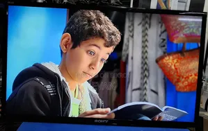 Sony 32" LED TV