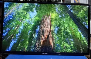Sony 32" LED TV