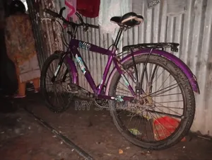রিফিক্স সাইকেল
