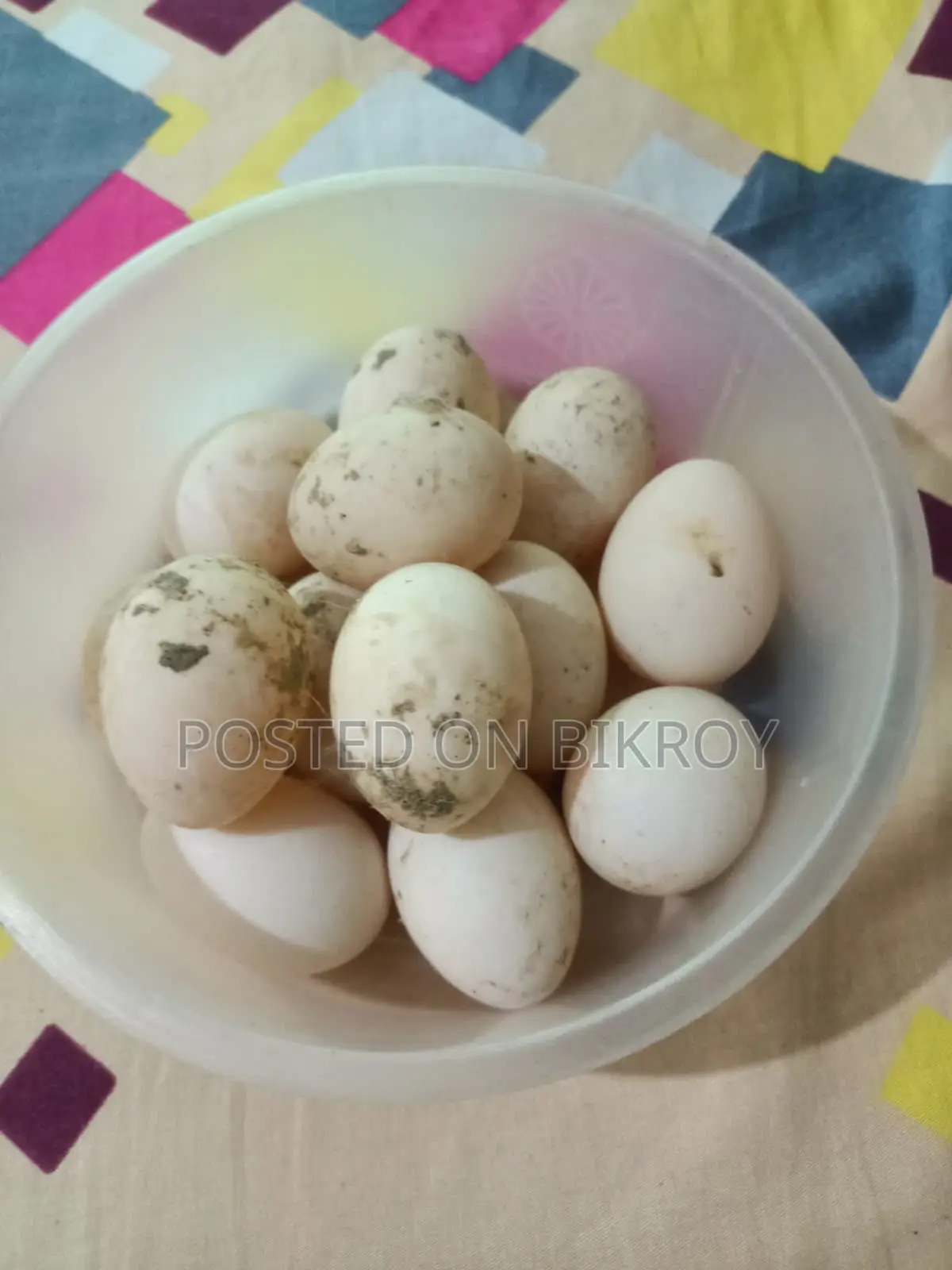 China Duck Fertile Eggs