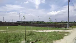 P Block Bashundhara | 5 Katha Plot for Sale