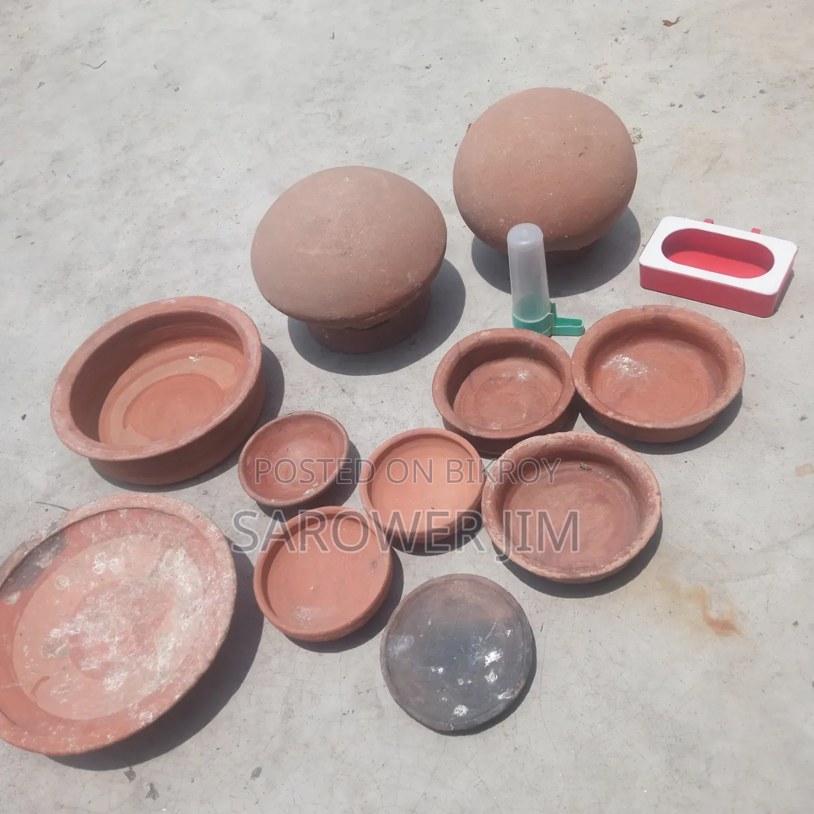 Pigeon and bird items will be sold