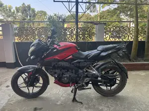 Bajaj Pulsar NS 160 2018 Red
