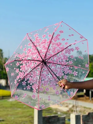 নিউ এভেলেবল ছাতা