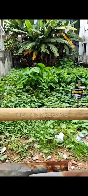 Sonadanga Khokon Commissioner Goli Culvert Moor Theke Samanno Samne