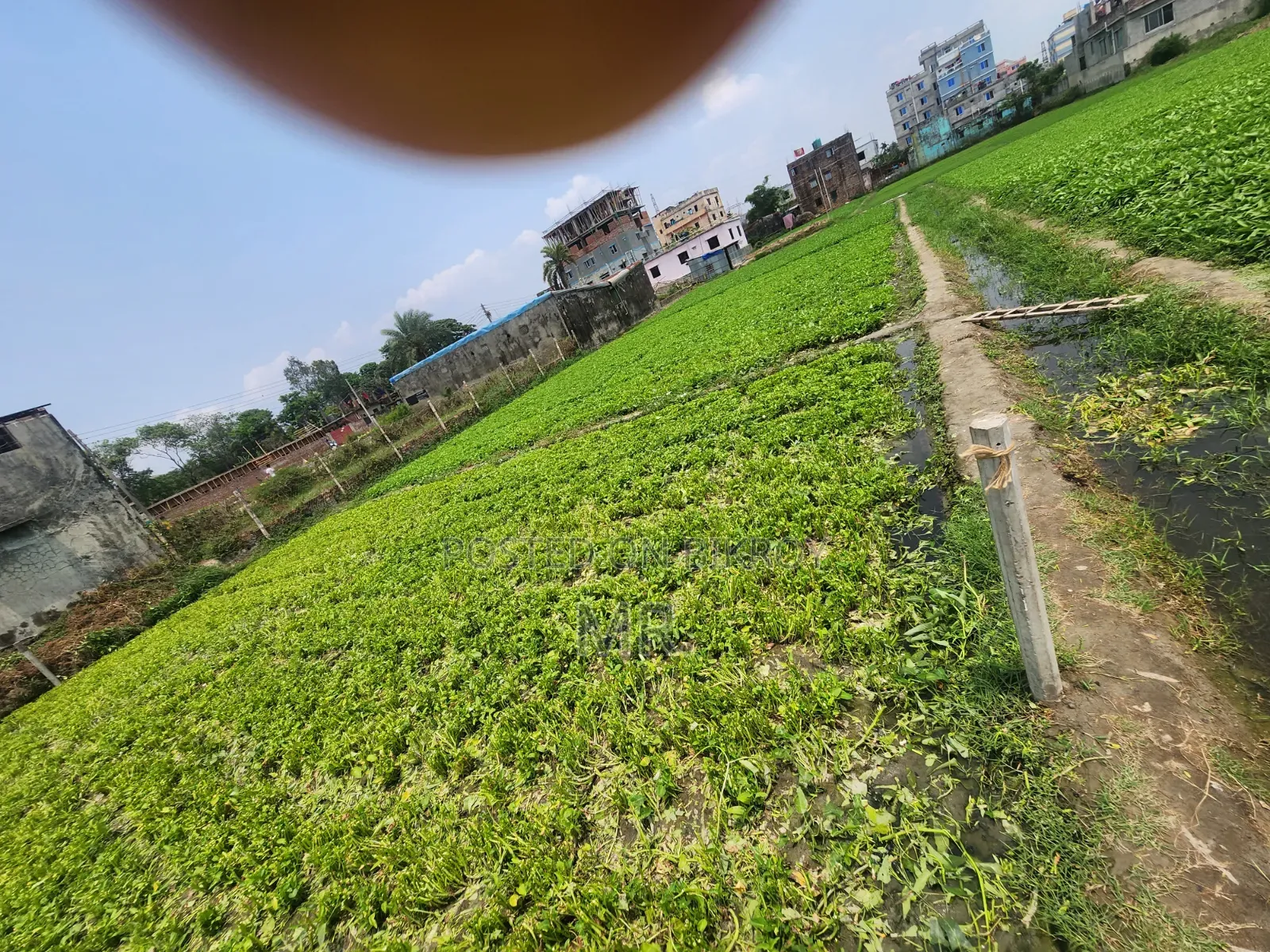 জায়গা বিক্রি (হালিশহর বেরি বাঁধ)