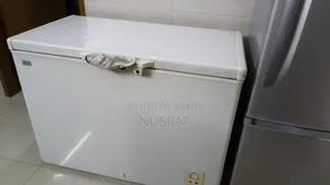 Eco Brand Deep Freezer
