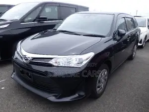 Toyota Axio 2021 Black