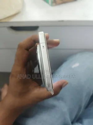 Vivo X200 Pro 256 GB Silver