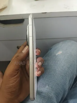 Vivo X200 Pro 256 GB Silver