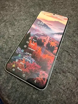 Samsung Galaxy S25+ 256 GB Gray