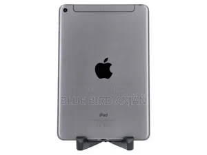 Apple iPad mini 5 256 GB Gray