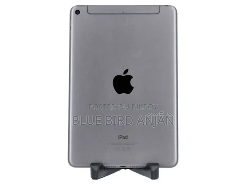 Apple iPad mini 5 256 GB Gray