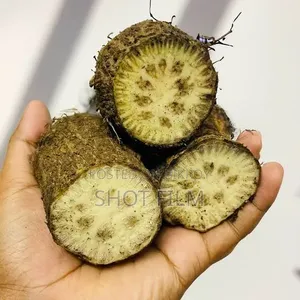 Famous Chuijhal