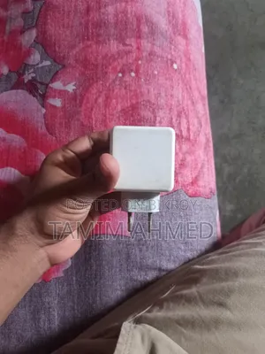 রিয়েলমি ৩৩ডব্লিউ চার্জার