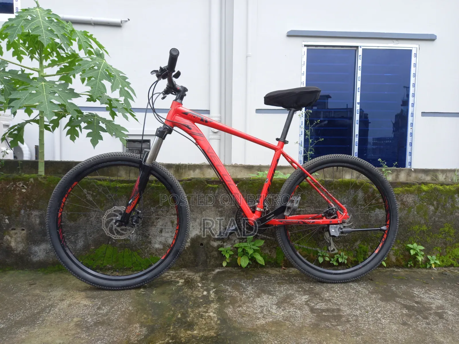 Veloce Outrage 602 Red
