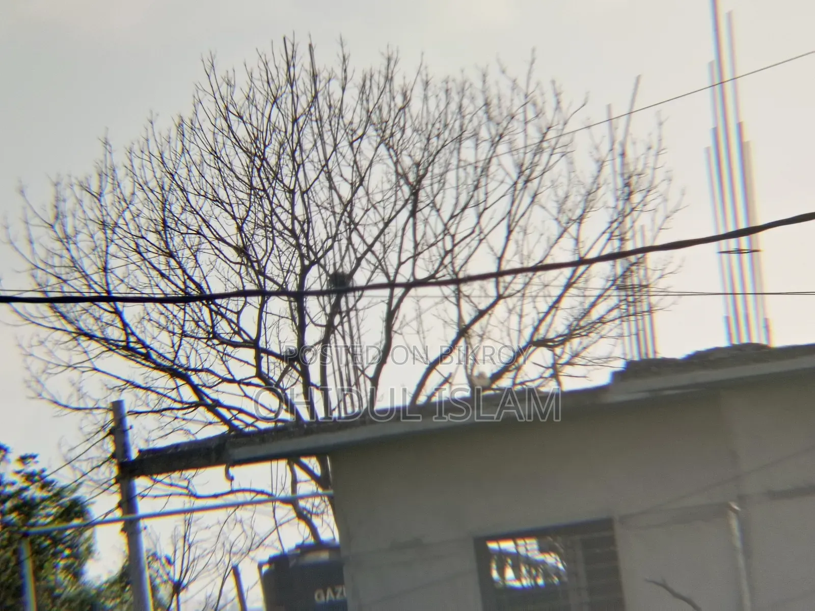 28x Zoom Lens Brand New