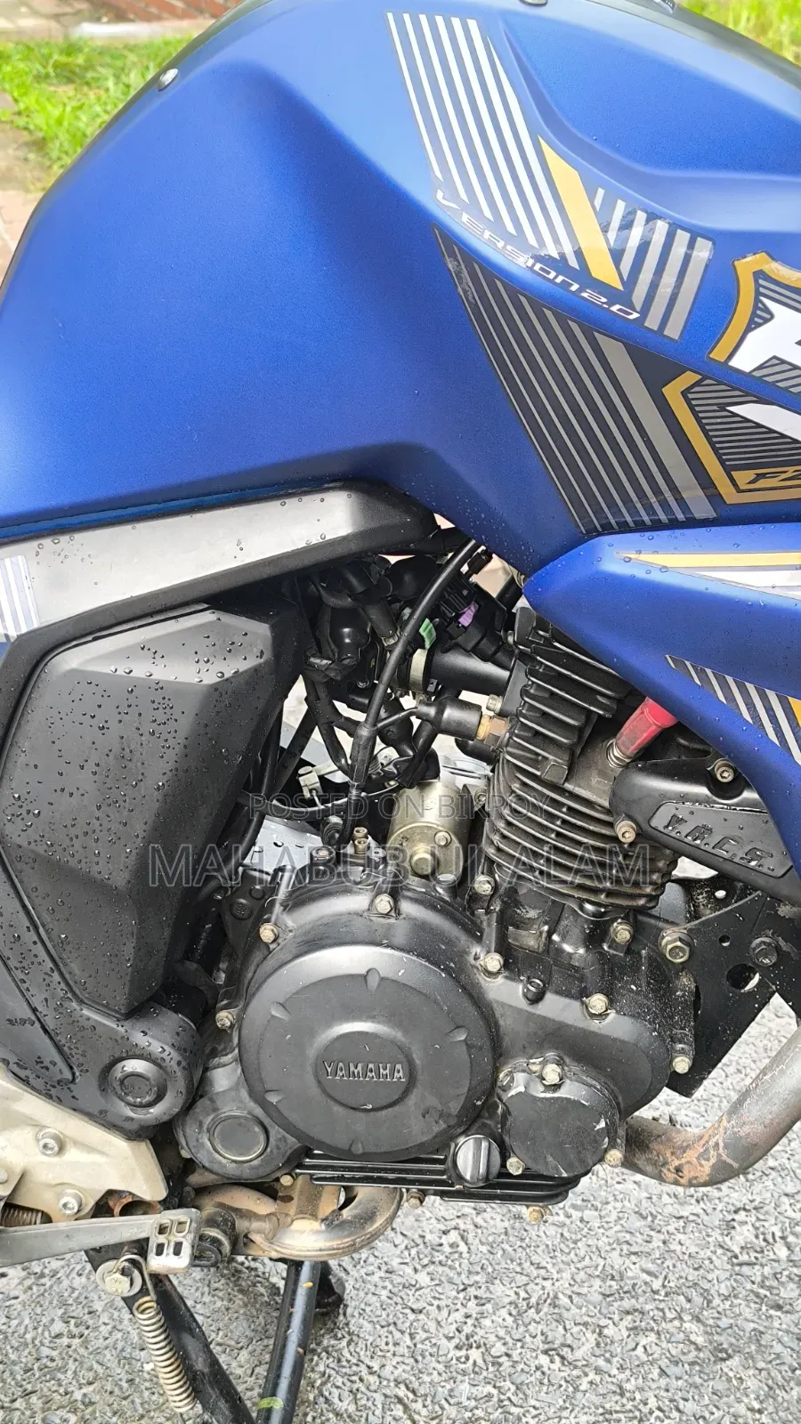 Yamaha FZ6 ২০২৩ নীল
