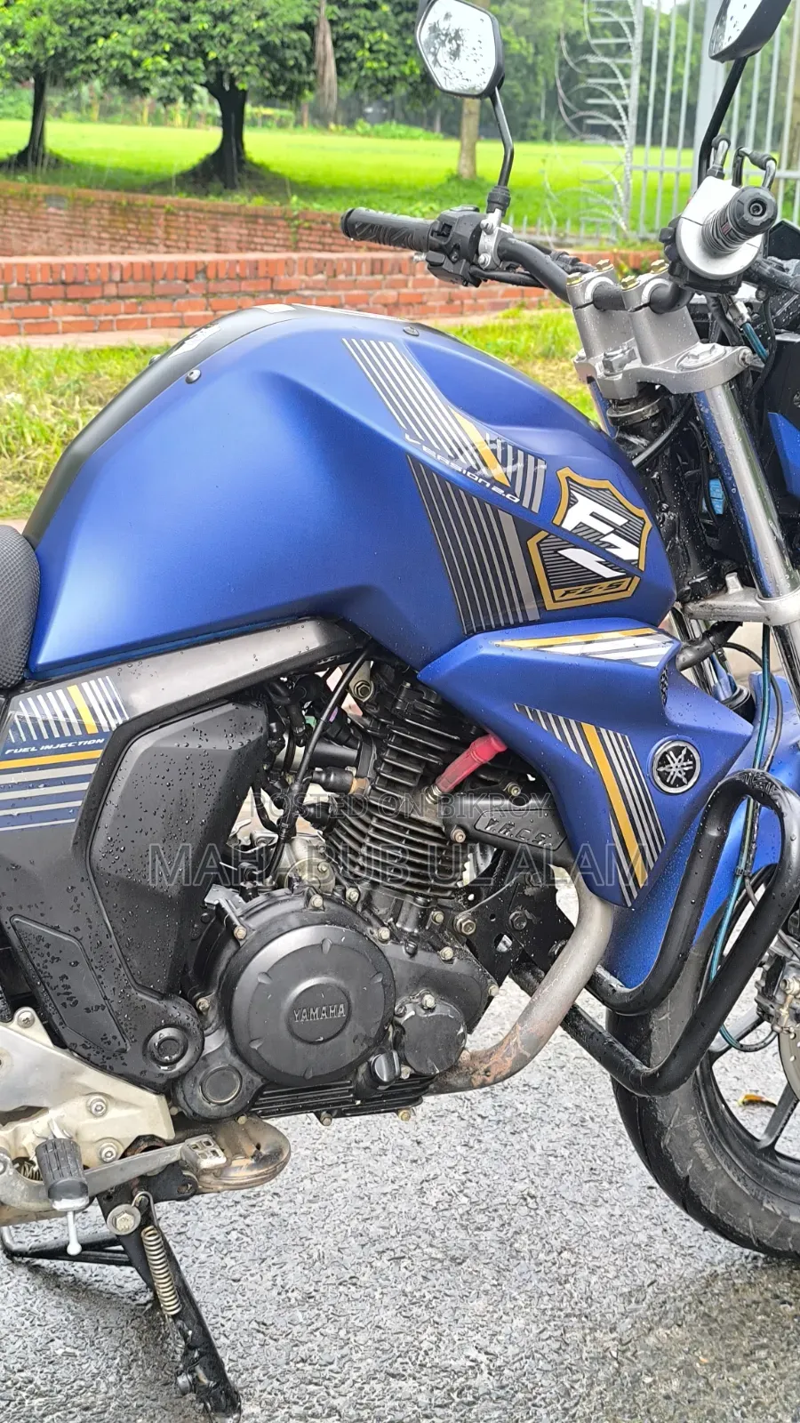 Yamaha FZ6 ২০২৩ নীল