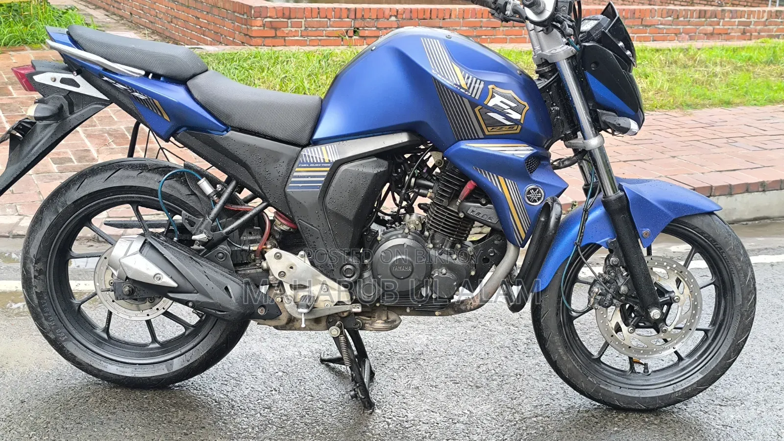 Yamaha FZ6 ২০২৩ নীল