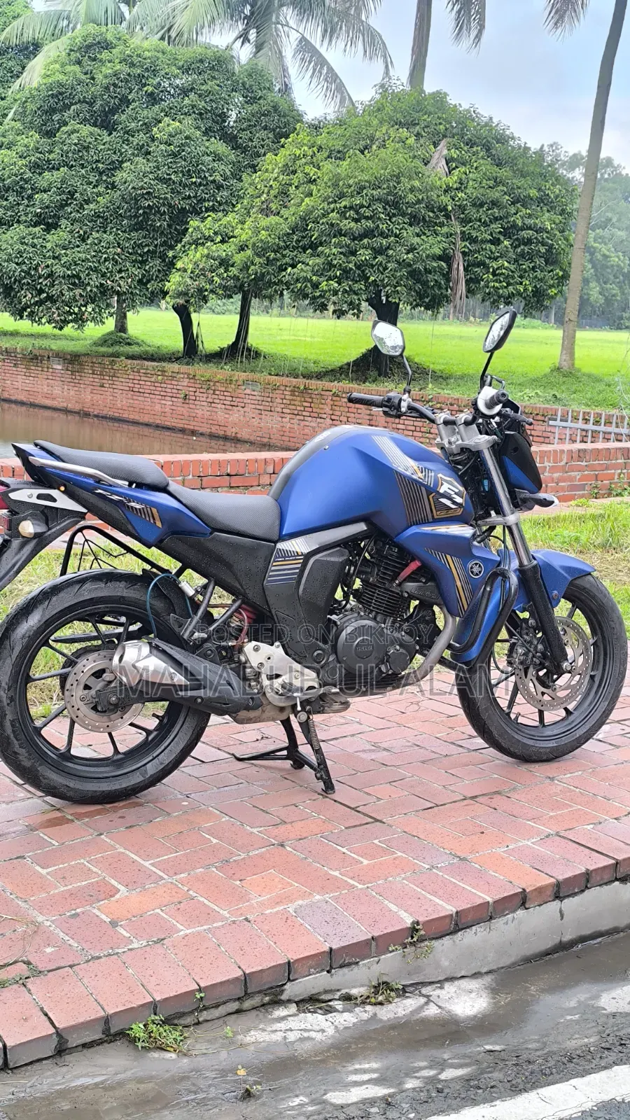 Yamaha FZ6 ২০২৩ নীল