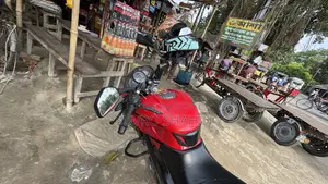 Bajaj Pulsar NS 160 2018 Red
