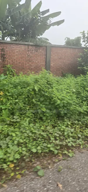 Rajuk Purbachal Sector-11, Government Employee Category, South-Facing Plot