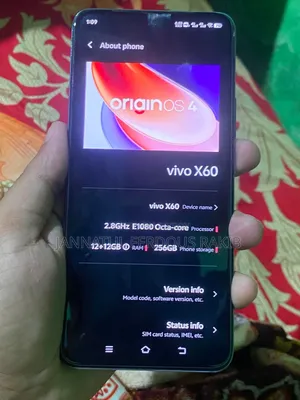 Vivo X60 256 GB