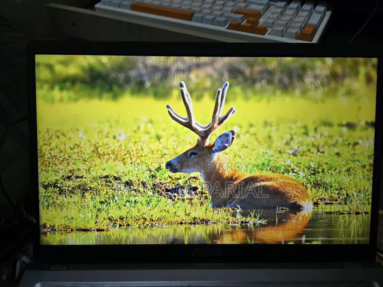 ল্যাপটপ ASUS Vivobook 15 8GB Intel Core I5 SSD 512GB