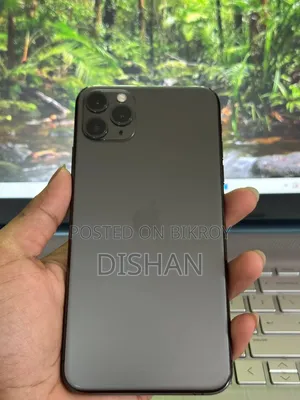 Apple iPhone 11 Pro Max 256 GB Gray