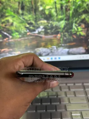 Apple iPhone 11 Pro Max 256 GB Gray