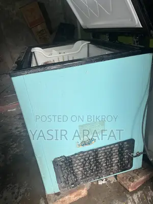 ডিপ ফ্রিজ সেল