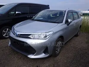 Toyota Corolla Fielder 2021 Silver