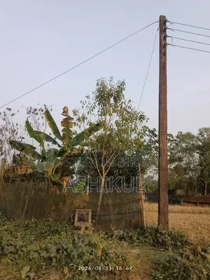 1 Bedroom House in Patwari Housing, Akhalia for Sale