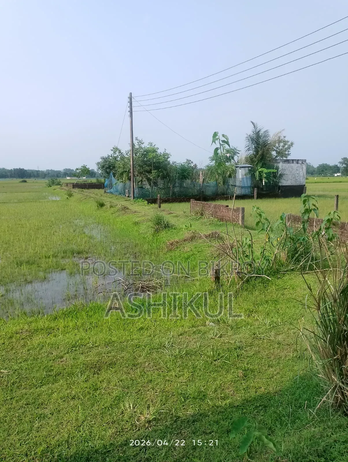 1 Bedroom House in Patwari Housing, Akhalia for Sale