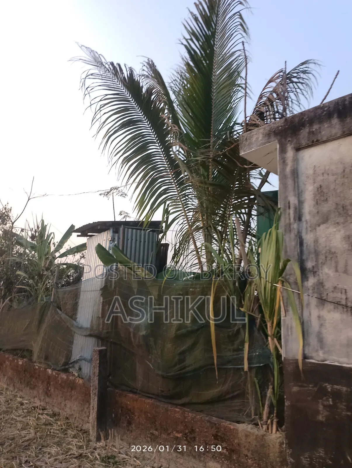 1 Bedroom House in Patwari Housing, Akhalia for Sale