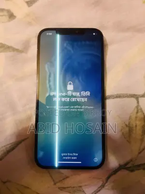 Apple iPhone 12 Pro Max 256 GB Blue