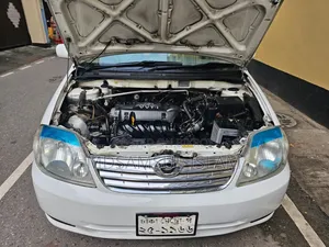 Toyota Corolla 2002 White
